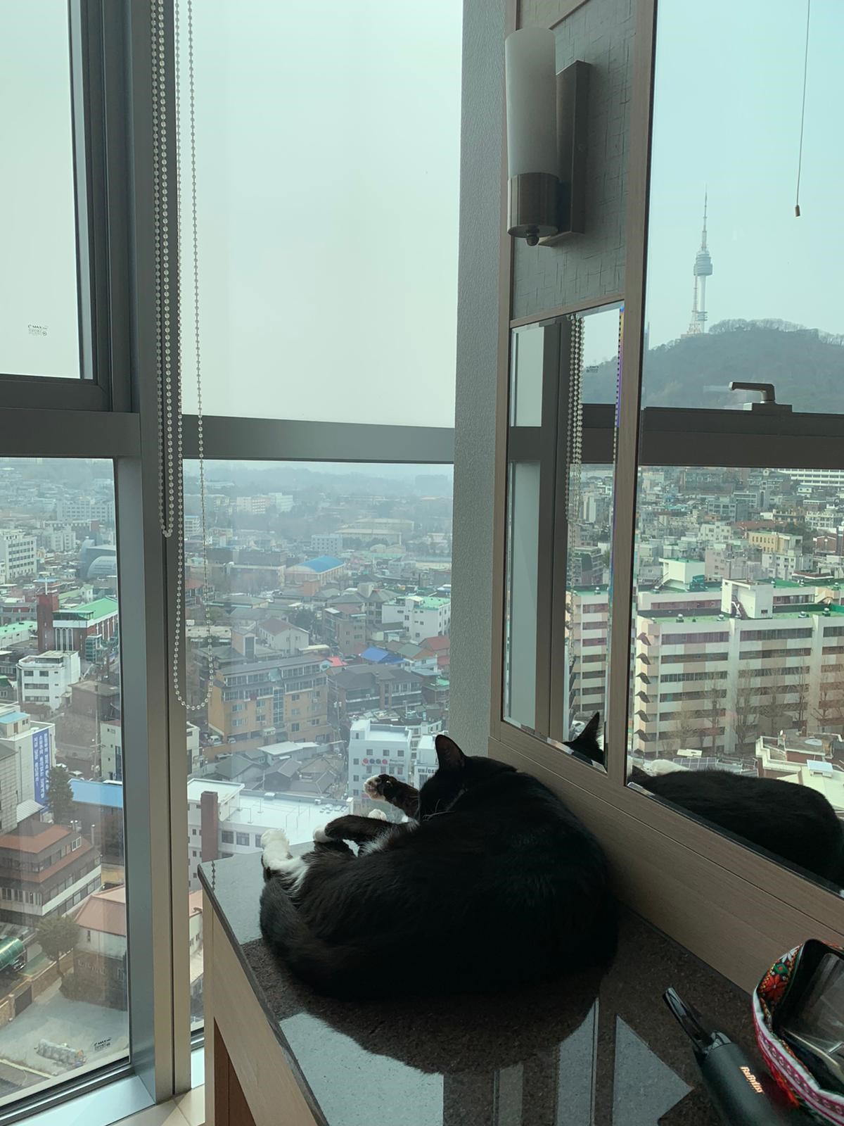 Socks Seoul background